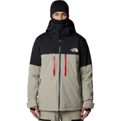 Abrigos The north face M Chakal Jacket