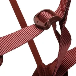Arnés Black diamond W Momentum Harness
