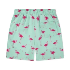Bañadores Abercrombie Afb Core Poly Trunk