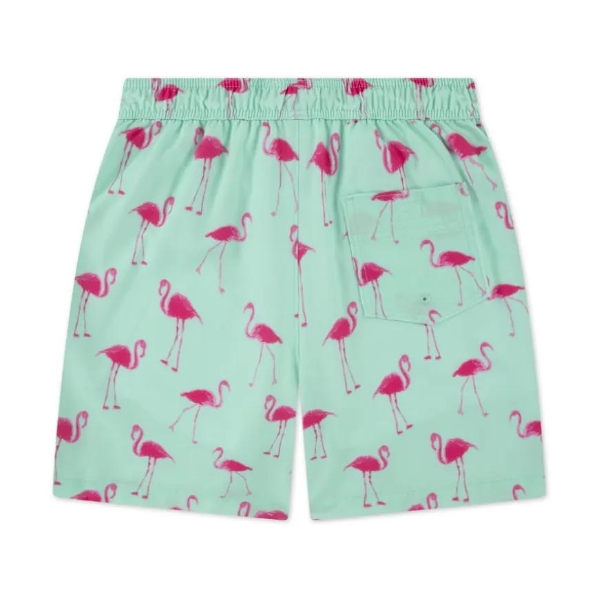 Bañadores Abercrombie Afb Core Poly Trunk