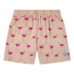 Bañadores Abercrombie Afb Core Poly Trunk
