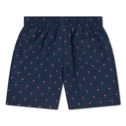 Bañadores Abercrombie Afb Core Poly Trunk