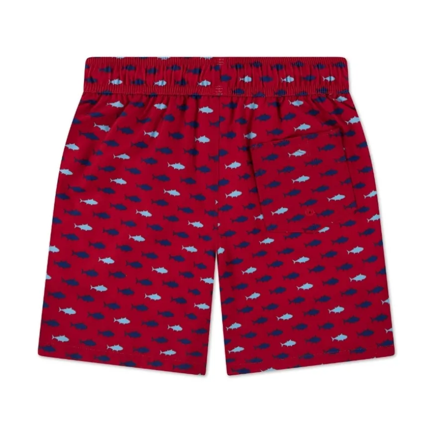 Bañadores Abercrombie Afb Core Poly Trunk
