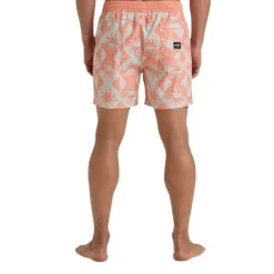 Bañadores Billabong All Day Lb