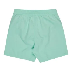 Bañadores Billabong All Day Lb
