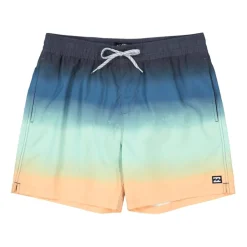 Bañadores Billabong All Day Fade Lb