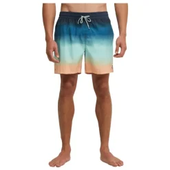 Bañadores Billabong All Day Fade Lb