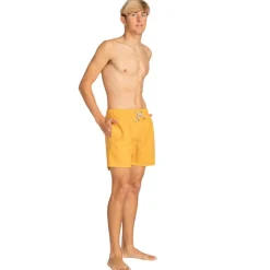 Bañadores Billabong All Day Lb