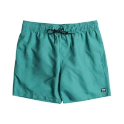 Bañadores Billabong All Day Lb