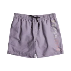 Bañadores Billabong All Day Heritage Lb SMU