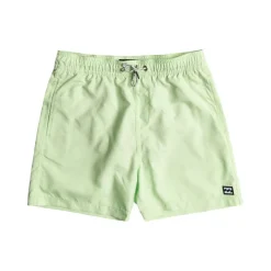 Bañadores Billabong All Day Lb