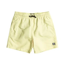 Bañadores Billabong All Day Lb