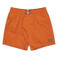 Bañadores Billabong All Day Lb