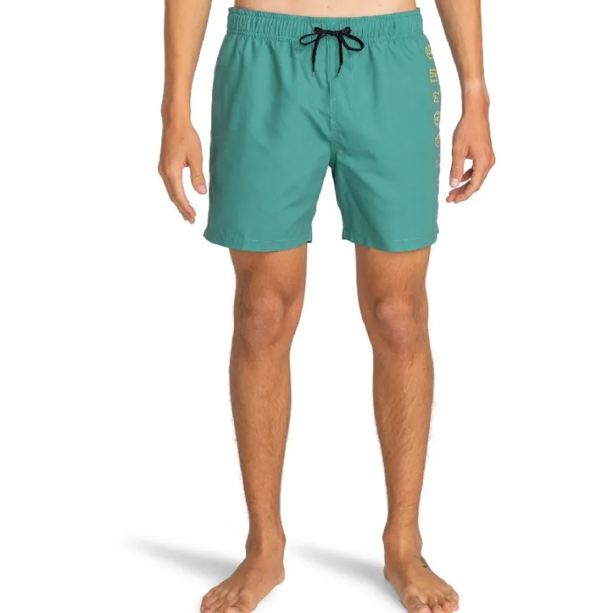 Bañadores Billabong All Day Heritage Lb SMU