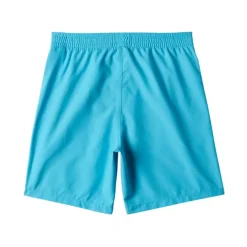 Bañadores Billabong All Day Lb