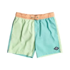 Bañadores Billabong All Day Interchange Lb Boys
