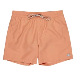 Bañadores Billabong All Day Lb