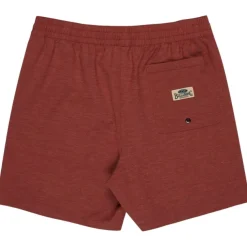 Bañadores Billabong Every Other Day Lb
