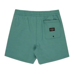 Bañadores Billabong Every Other Day Lb
