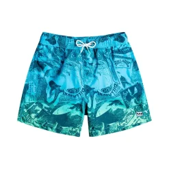 Bañadores Billabong Promo Poster Lb Boys