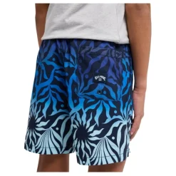 Bañadores Billabong Radiant Lb