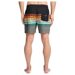 Bañadores Billabong SMU All Day Stripe Lb