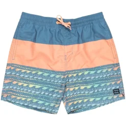 Bañadores Billabong Tribong Lb