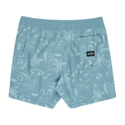 Bañadores Billabong Vacay Lb