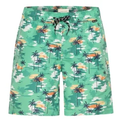 Bañadores Blend Bhraeburn Swimwear