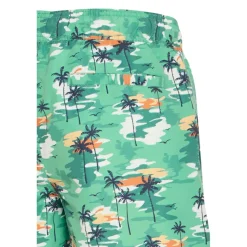 Bañadores Blend Bhraeburn Swimwear