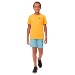 Bañadores Champion Beachshort