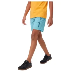 Bañadores Champion Beachshort
