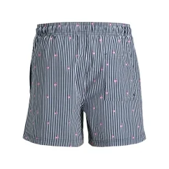 Bañadores Jack & jones Jpstmaui Breeze Mini Stripe Swim Srt Sn