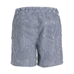 Bañadores Jack & jones Jpstfiji Jjswim Small Stripes Ly Sn