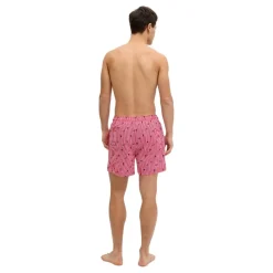 Bañadores Jack & jones Jpstmaui Breeze Mini Stripe Swim Srt Sn