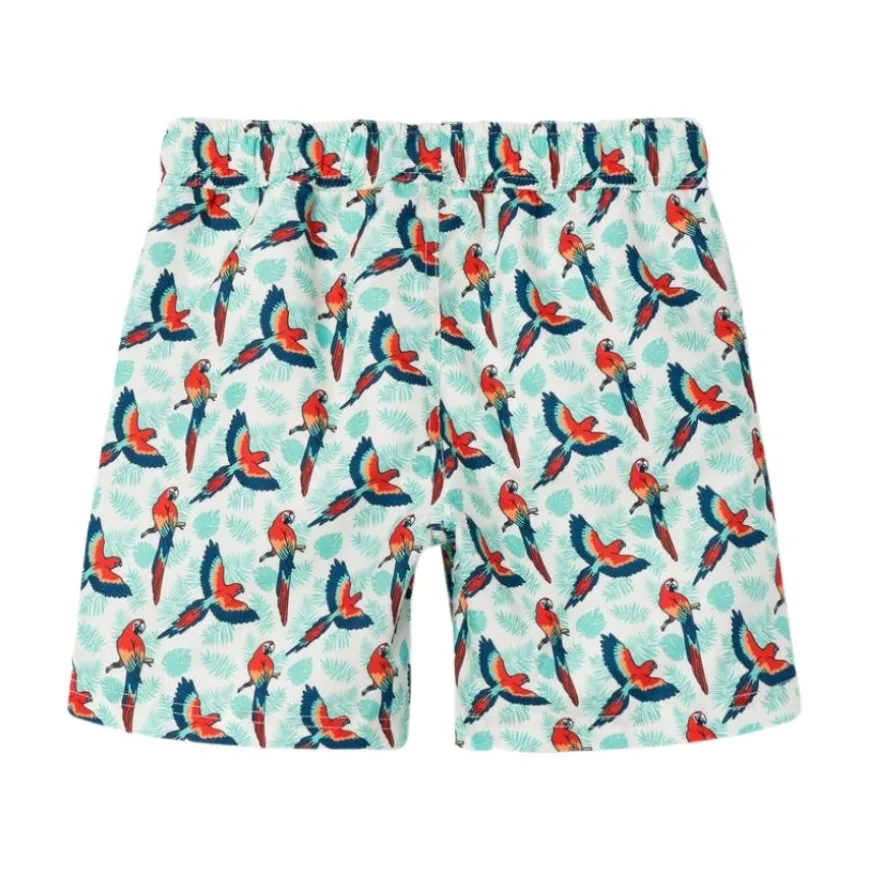Bañadores Name-it Nkmzaddi Swim Shorts Box