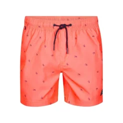 Bañadores Petrol Men Swimshort