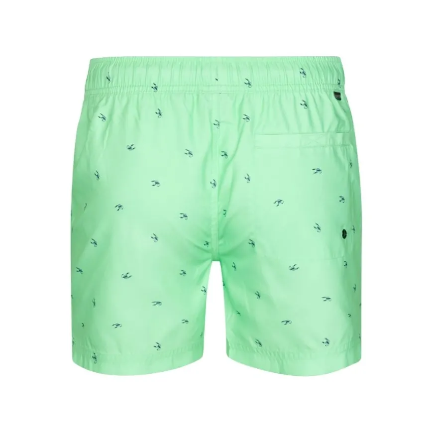 Bañadores Petrol Men Swimshort