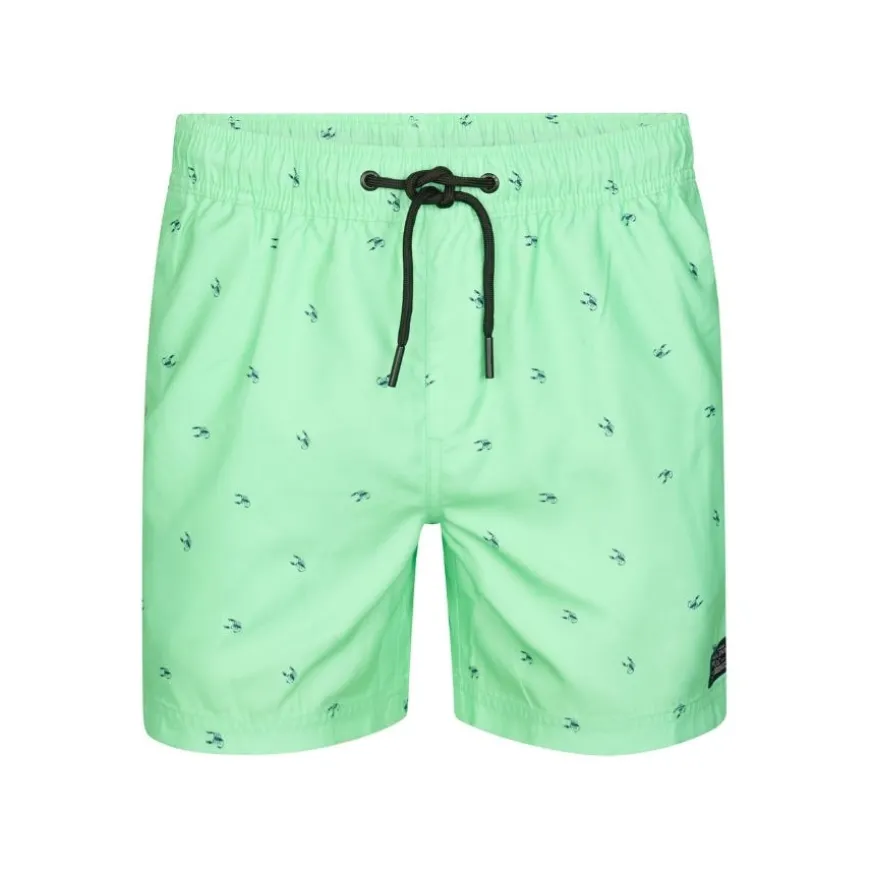 Bañadores Petrol Men Swimshort