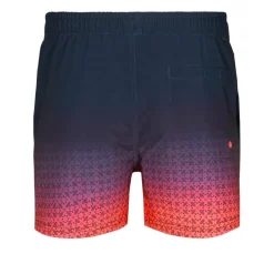 Bañadores Petrol Men Swimshort