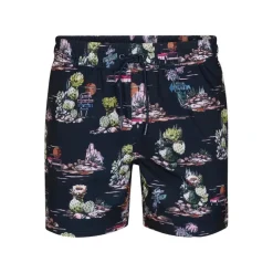 Bañadores Petrol Men Swimshort