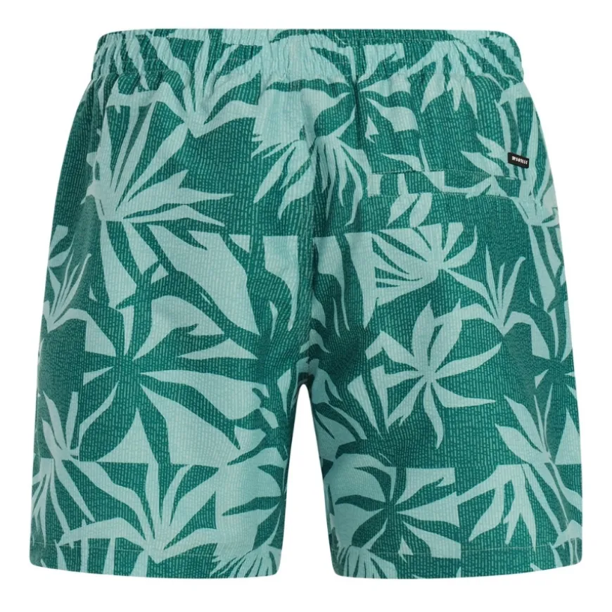 Bañadores Protest M Panther Beachshort