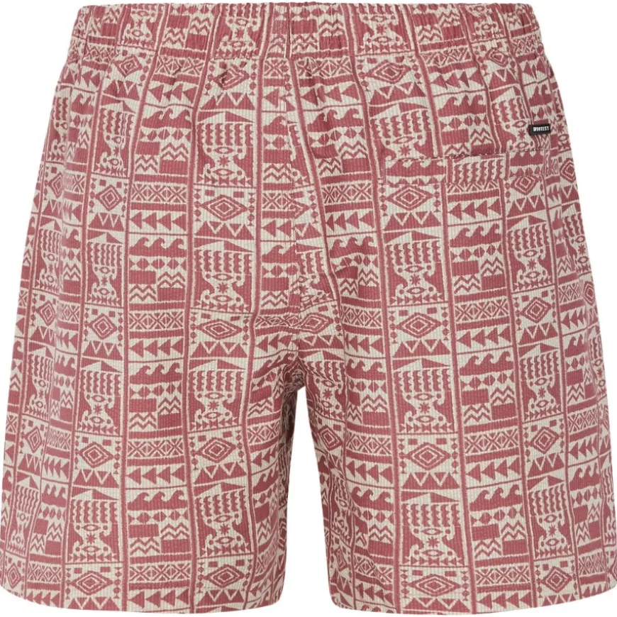 Bañadores Protest Prtflip Beachshort