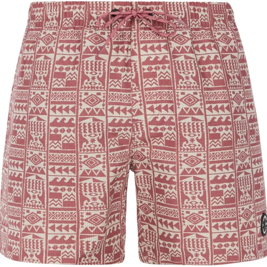 Bañadores Protest Prtflip Beachshort