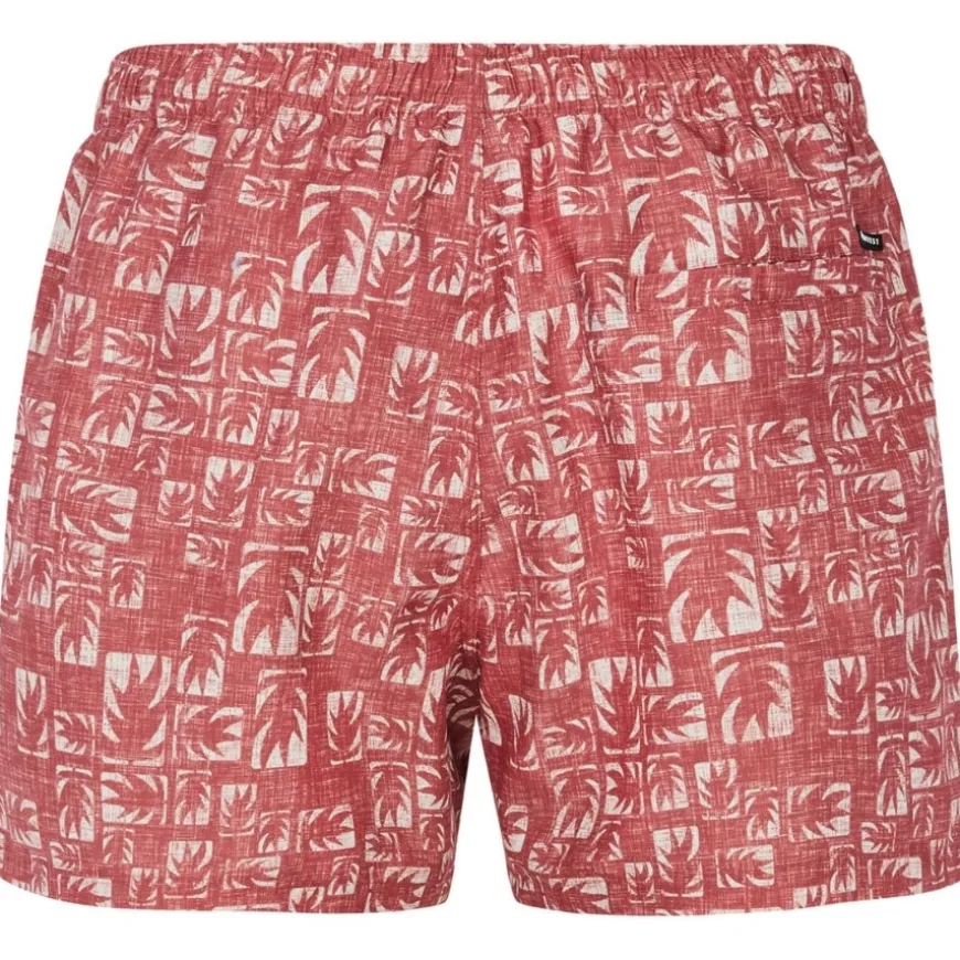 Bañadores Protest Prttifton Beachshort