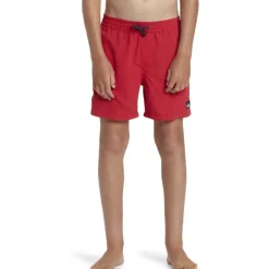 Bañadores Quiksilver Everyday Solid Volley Yth 14