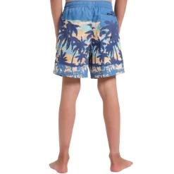 Bañadores Quiksilver Everyday Straight Volley Yth14