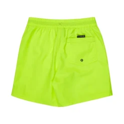 Bañadores Quiksilver Everyday Volley Yth 14