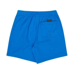Bañadores Quiksilver Everyday Volley Yth 14