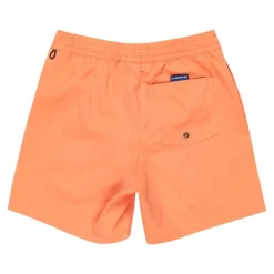 Bañadores Quiksilver Everyday Solid Volley Yth 14